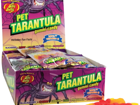 Pet Tarantula Gummy Candy (24 Pack) Fashion